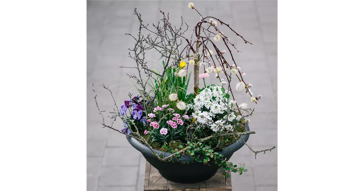 Grabschale Zum Abschied Blumen Gaab